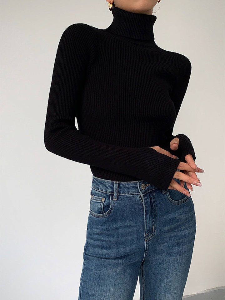 Coralie ribbed roll neck jumper