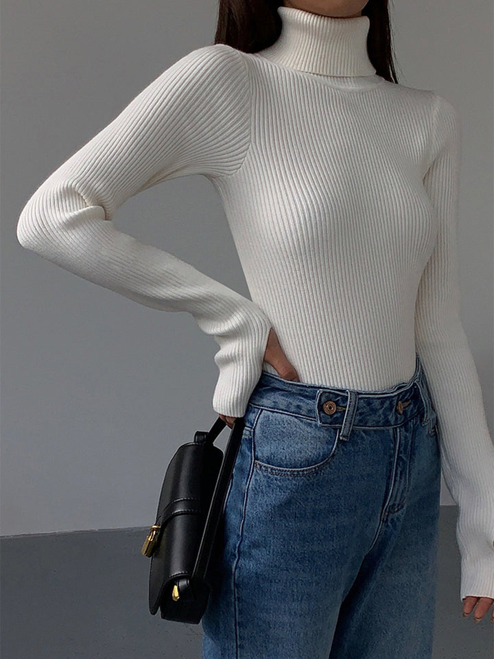 Coralie ribbed roll neck jumper